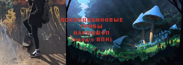 МДПВ Каменка
