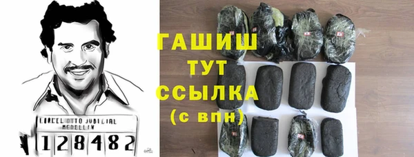 МДПВ Каменка