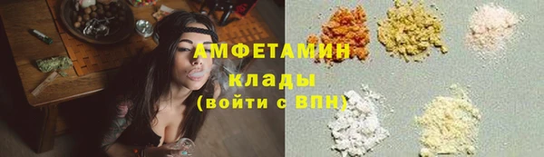 МДПВ Каменка