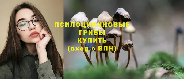 крисы Каменск-Шахтинский