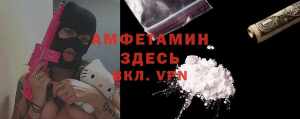 МДПВ Каменка