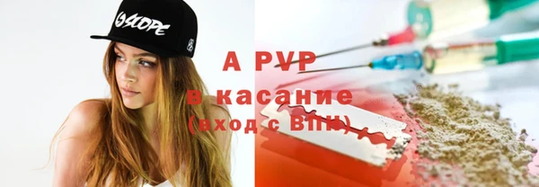 МДПВ Каменка