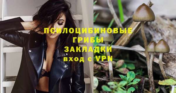 мяу мяу мука Каменногорск