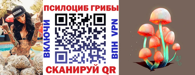 Галлюциногенные грибы Psilocybe  Суздаль 
